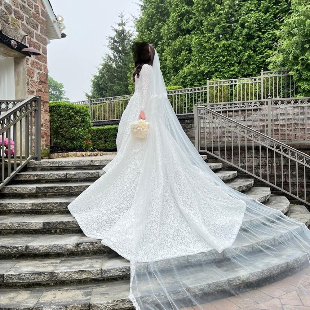 Anna Augusta Wedding dress AND veil- size 2